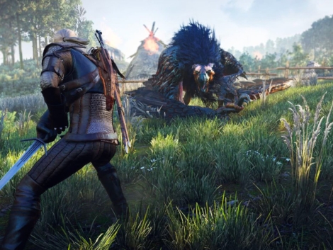 witcher-pic4_zoom-1500x1500-42214