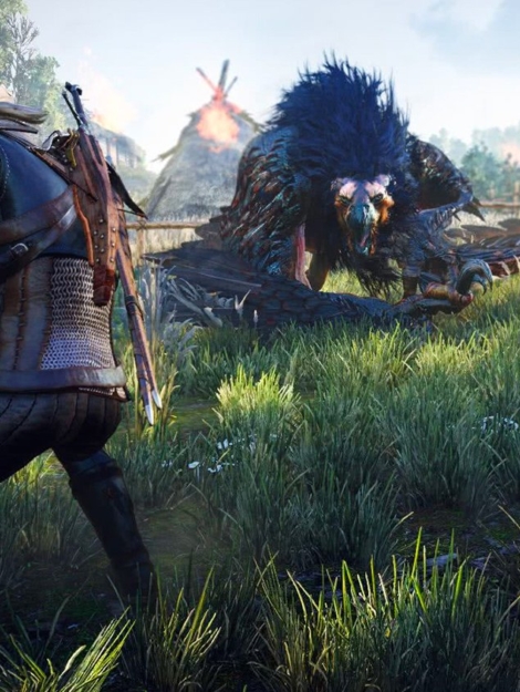 witcher-pic4_zoom-1500x1500-42214